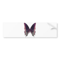 Detailed Butterfly Pink Bumper Sticker