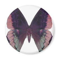Detailed Butterfly Pink Refrigerator Magnets