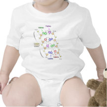 Detailed Diagram of the Chemical structure of DNA Rompers