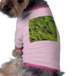 Detailed Photo Of Green Moss Pet Clothes