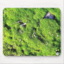 Detailed Photo Of Green Moss Mouse Pads
