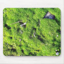 Detailed Photo Of Green Moss mousepads