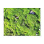 Detailed Photo Of Green Moss Postcards