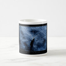 Details of Nature: Bug - Mug