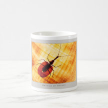Details of Nature: Bugs - Mug