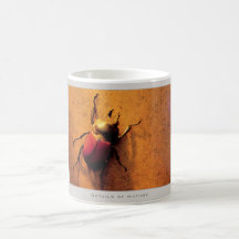Details of Nature: Bugs - Mug