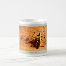 Details of Nature: Bugs - Mug