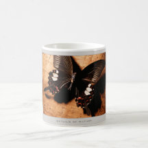Details of Nature: Butterflies - Mug