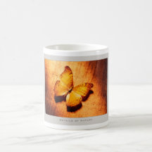 Details of Nature: Butterflies - Mug