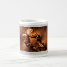 Details of Nature: Butterflies - Mug