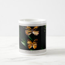 Details of Nature: Butterflies - Mug