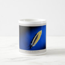 Details of Nature: Feathers - Mug