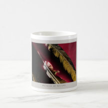 Details of Nature: Feathers - Mug