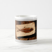 Details of Nature: Fish - Mug
