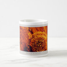 Details of Nature - Mug