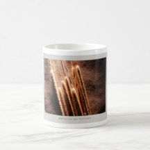 Details of Nature - Mug