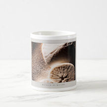 Details of Nature - Mug