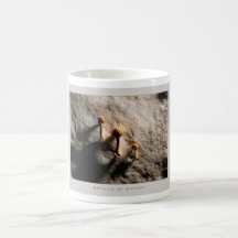 Details of Nature: mushrooms - Mug