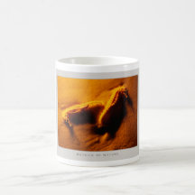 Details of Nature: Seahorses - Mug