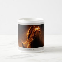 Details of Nature: Seahorses - Mug