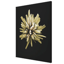 Detergent Crystal Stretched Canvas Prints
