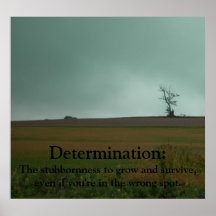 Determination Demotivational Poster