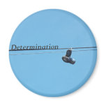 Determination magnets