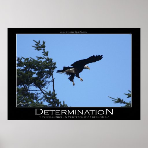 DETERMINATION Motivational Poster Zazzle