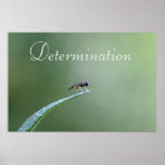 Determination posters
