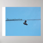 Determination posters