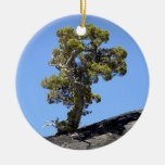 Determined Tree ~ Ornament