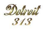 Detroit Michigan 313 t-shirts