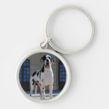 Deutsche Dogge gefleckt,Great Dane Schlüsselanhänger