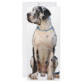 Deutsche Dogge gefleckt Custom Rack Card