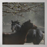 Devil Horse and Zebra Horse posters
