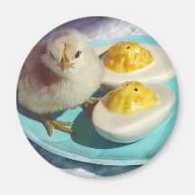 Deviled Eggs and the Chick Magnets