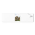 Devils Backbone Colorado Bumper Stickers