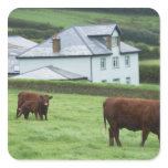 Devon, England Stickers