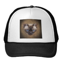 Devon face mesh hat