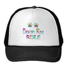 Devon Rex Rule Hat