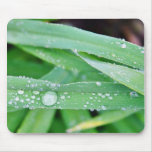 Dew After A Rainy Moning In Old Town Mousepads