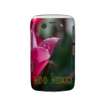 Dew Drop Case Blackberry Case