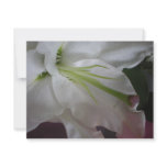 Dew Drop invitations