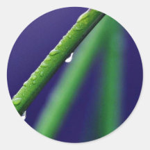 Dew Drop On Green Grass Round Stickers