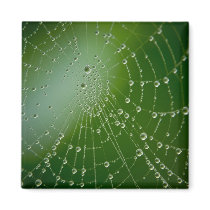 Dew Drops Refrigerator Magnet
