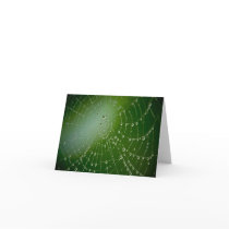 Dew Drops Note Card