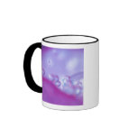Dew drops on flower petal abstract. Credit as: Coffee Mug