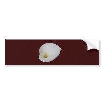 Dew drops on White Lily Bumper Sticker