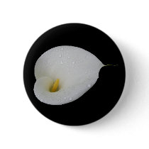 Dew drops on White Lily Pinback Buttons