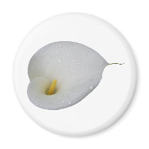 Dew drops on White Lily Magnet